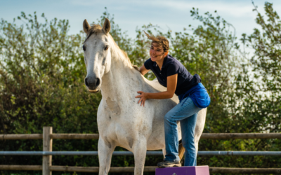 Se sentir à sa place, comment les chevaux nous accompagnent…