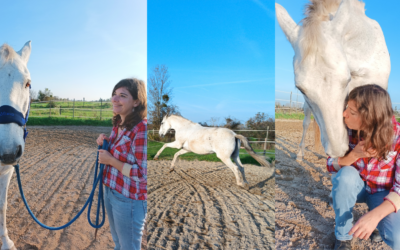 Comment les chevaux nous aident à panser nos blessures d’attachement